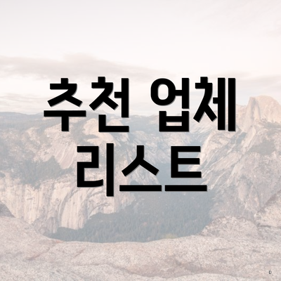 추천 업체 리스트