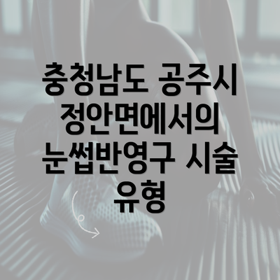 충청남도 공주시 정안면에서의 눈썹반영구 시술 유형