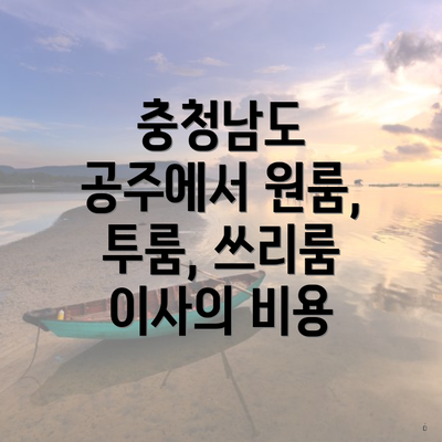 충청남도 공주에서 원룸, 투룸, 쓰리룸 이사의 비용