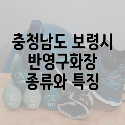 충청남도 보령시 반영구화장 종류와 특징