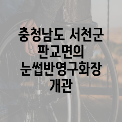 충청남도 서천군 판교면의 눈썹반영구화장 개관