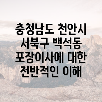 충청남도 천안시 서북구 백석동 포장이사에 대한 전반적인 이해