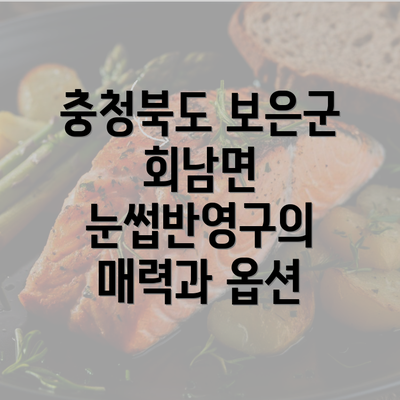 충청북도 보은군 회남면 눈썹반영구의 매력과 옵션