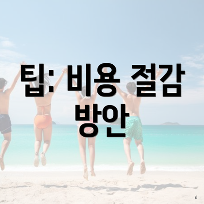 팁: 비용 절감 방안