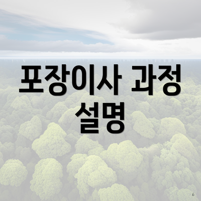 포장이사 과정 설명