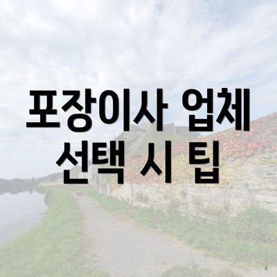 포장이사 업체 선택 시 팁