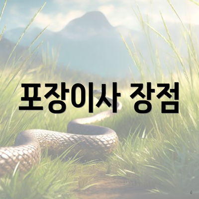 포장이사 장점