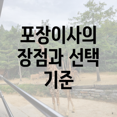 포장이사의 장점과 선택 기준