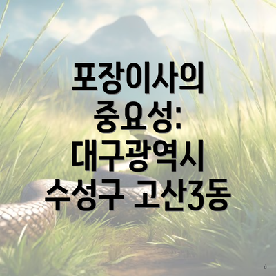 포장이사의 중요성: 대구광역시 수성구 고산3동