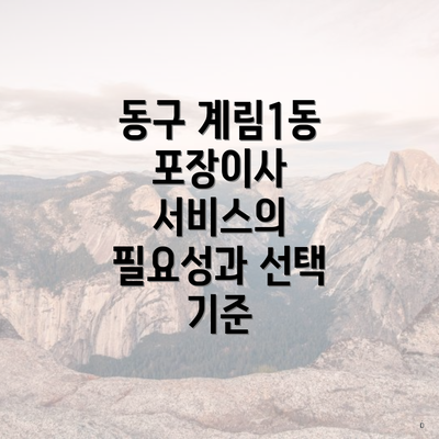 동구 계림1동 포장이사 서비스의 필요성과 선택 기준