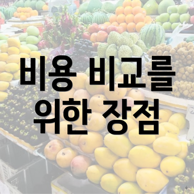 비용 비교를 위한 장점