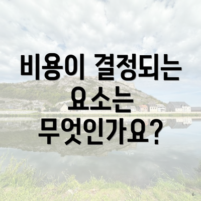 비용이 결정되는 요소는 무엇인가요?