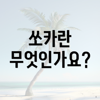쏘카란 무엇인가요?