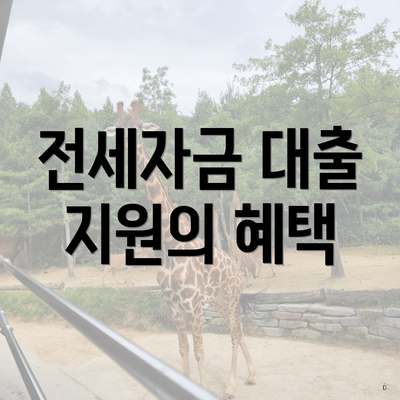 전세자금 대출 지원의 혜택