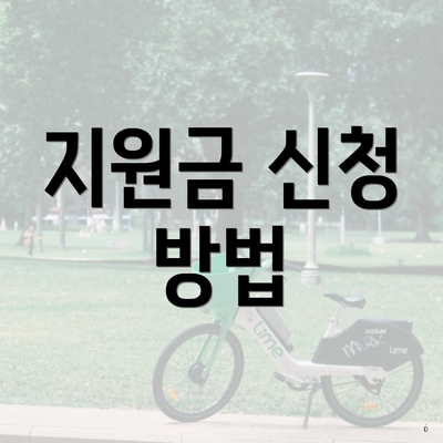 지원금 신청 방법