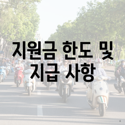 지원금 한도 및 지급 사항