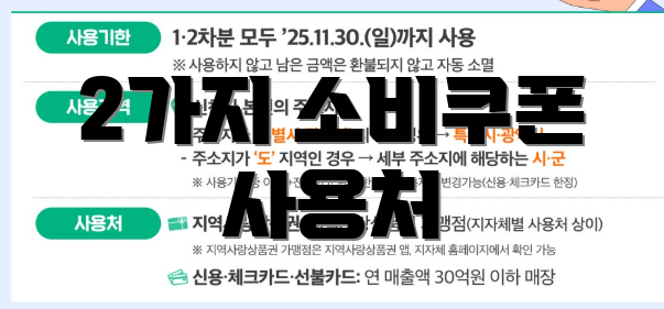 2가지 소비쿠폰 사용처