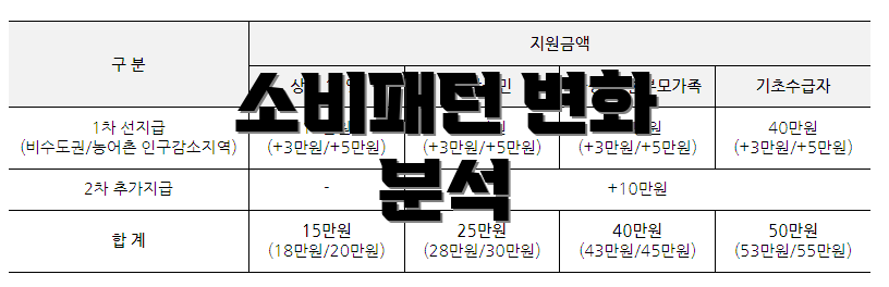 소비패턴 변화 분석