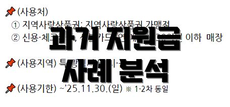 과거 지원금 사례 분석