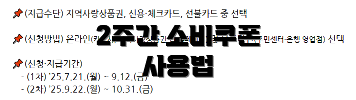 2주간 소비쿠폰 사용법