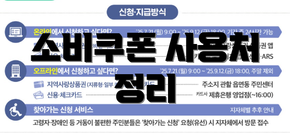 소비쿠폰 사용처 정리