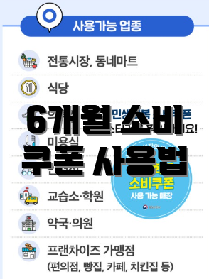 6개월 소비 쿠폰 사용법