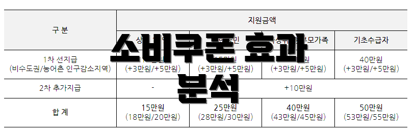 소비쿠폰 효과 분석
