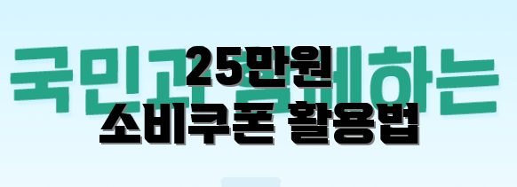 25만원 소비쿠폰 활용법